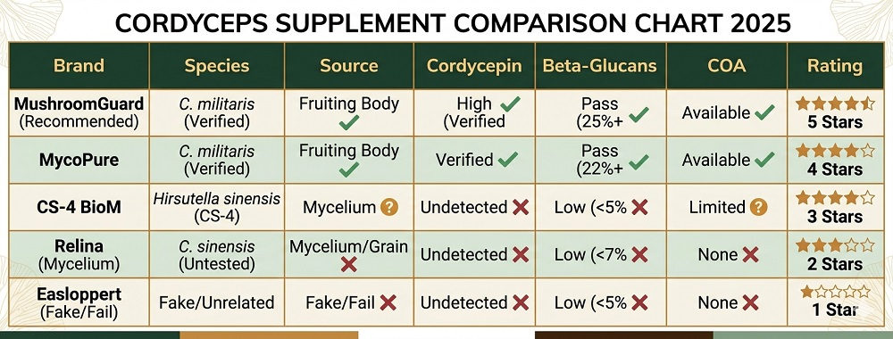 cordyceps supplement comparison table